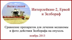 Интерлейкин, Ервой, Зелбораф