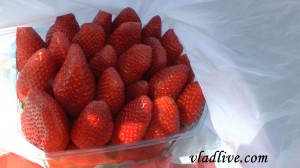 Израильская клубника Израильская клубника
