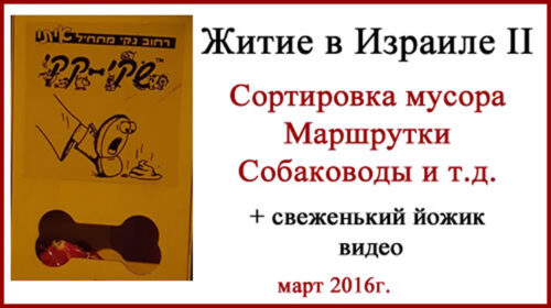 Жизнь в Израиле. Несколько фото и видео