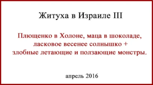 Житие в Израиле. Фото, видео. Плющенко, жуки, маца в шоколаде