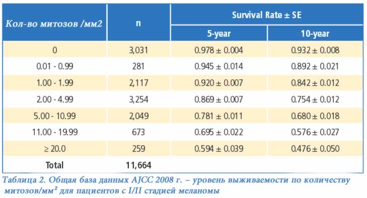 Митозы. Митотический индекс. Влияние количества митозов на выживаемость