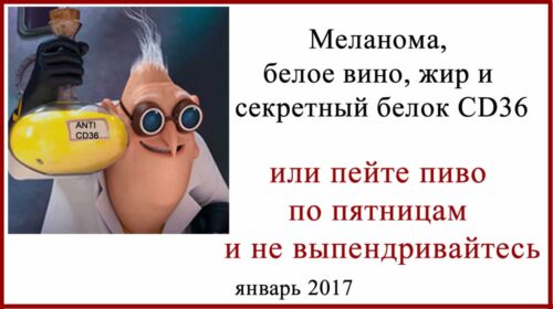 Меланома и влияние на нее белого вина и жира