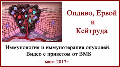 Иммунотерапия опухолей. Опдиво, Кейтруда Ервой