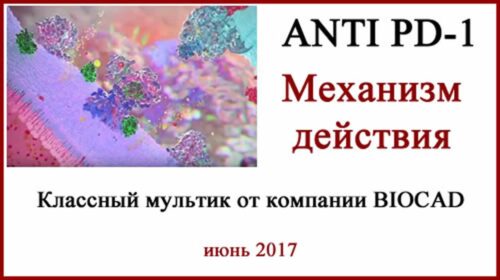 Механизм действия Кейтруды, Опдиво и BCD-100. Мультик Механизм действия Кейтруды, Опдиво, Фортеки