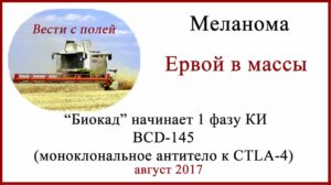 BCD-145 первая фаза КИ