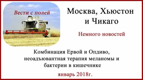 Неоадъювантная терапия меланомы, Ервой и Опдиво