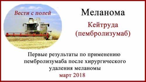 Кейтруда Адъювантная терапия