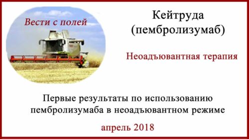 Кейтруда. Неоадъювантная терапия меланомы