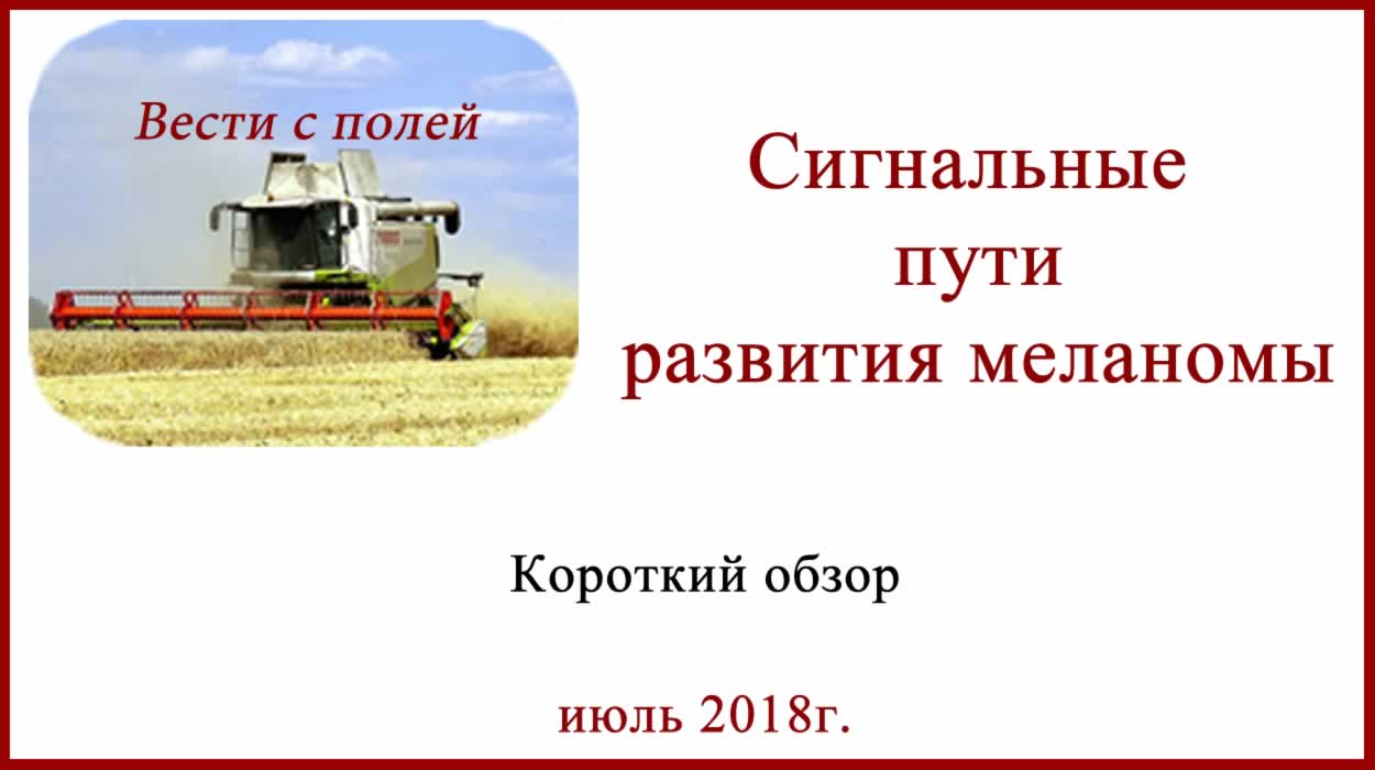 Сигнальные пути развития меланомы Сигнальные пути развития меланомы