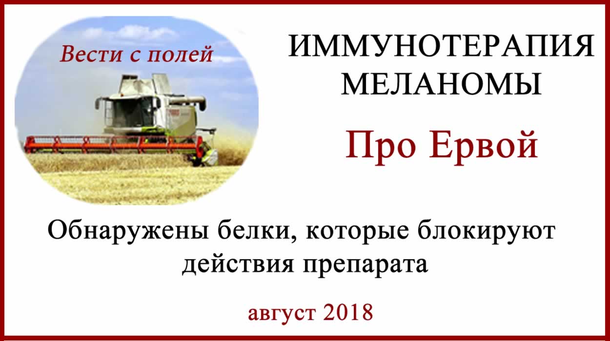 Ервой (ипилимумаб). Про биомаркёры и побочные эффекты Ервой (ипилимумаб) биомаркеры