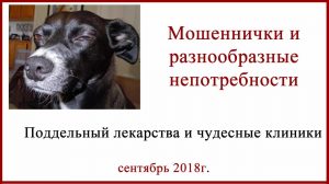 Клиника Хадасса