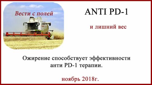 ANTI PD-1 и ожирение