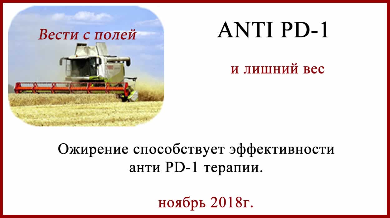 ANTI PD-1 и ожирение