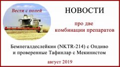 Бемпегалдеслейкин