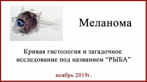 Молекулярная диагностика FISH