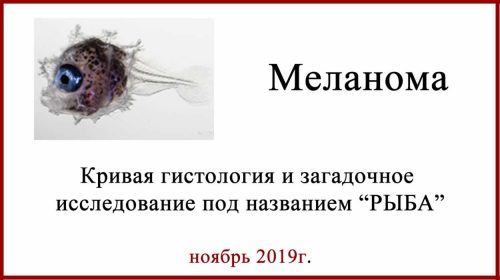 Молекулярная диагностика FISH