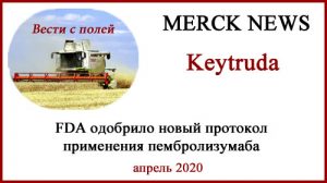 Кейтруда пембролизумаб Новый протокол