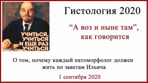 Гистология меланомы
