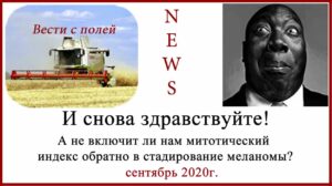 Митозы и митотический индекс
