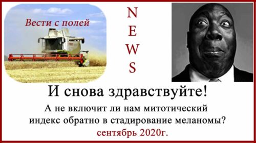Митозы и митотический индекс