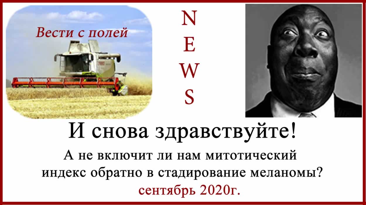 Меланома и митотический индекс 2020 Митозы и митотический индекс