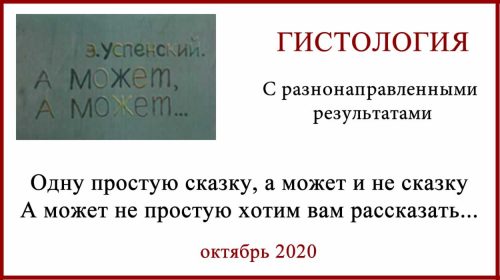 Гистология меланомы