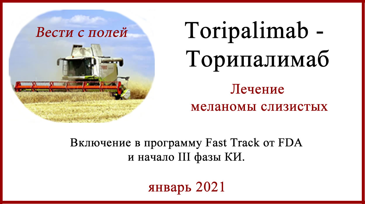 Торипалимаб