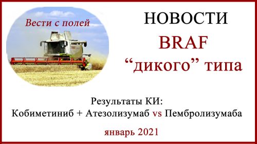 Меланома дикого типа