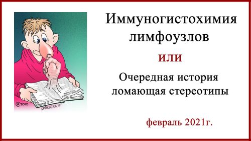 Иммуногистохимия лимфоузлов