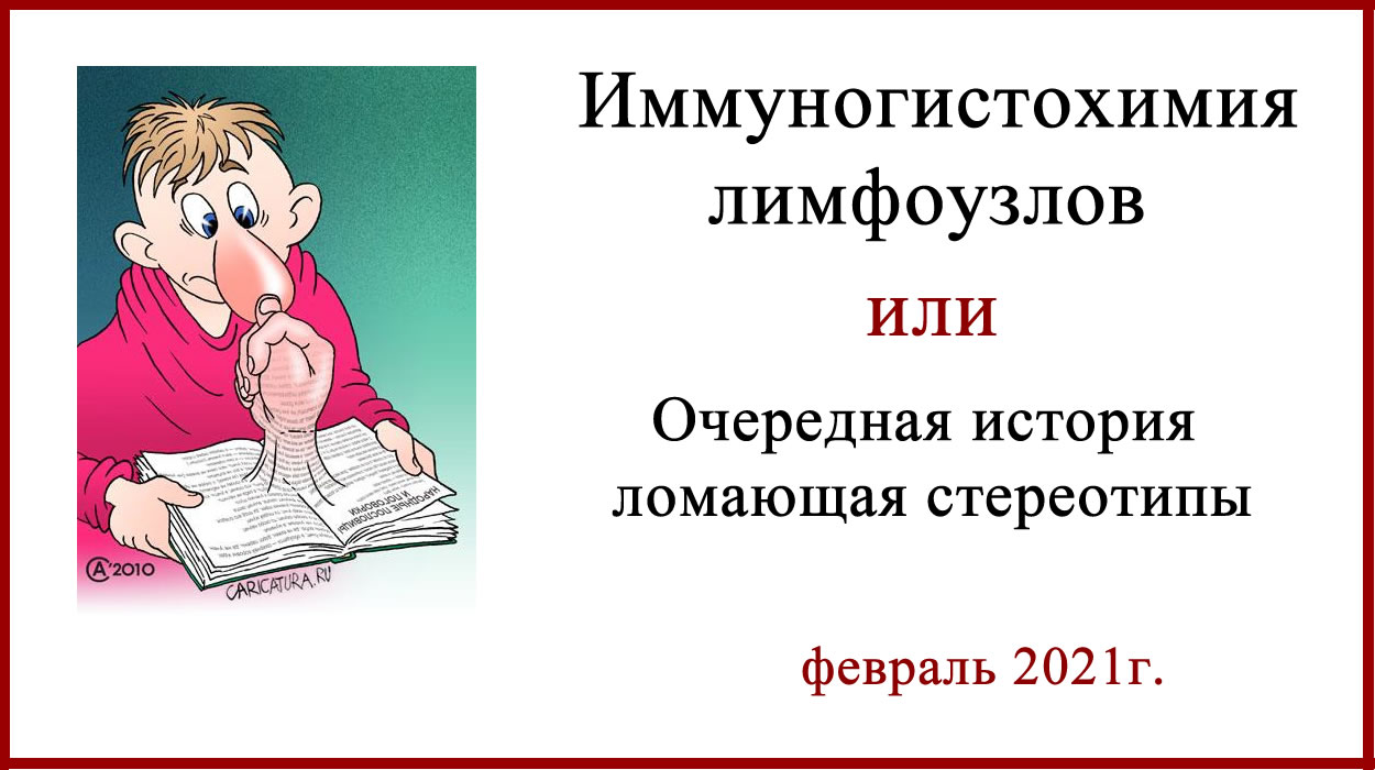 Иммуногистохимия лимфоузлов (ИГХ). Иммуногистохимия лимфоузлов