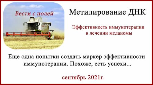 Метилирование ДНК - маркёр эффективности иммунотерапии