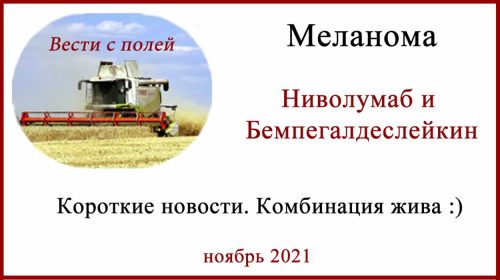 Ниволумаб и бемпегалдеслейкин продолжение КИ