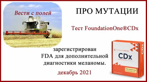 Тест FoundationOne зарегистрирован FDA