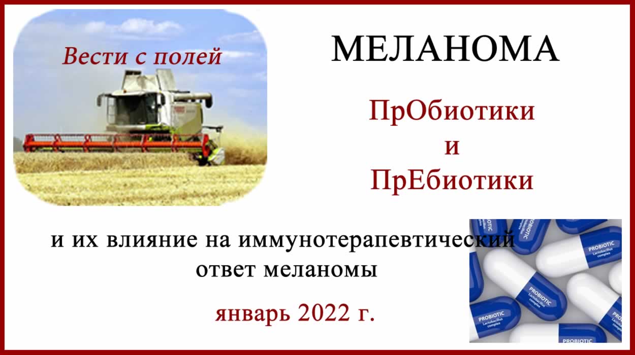 Влияние пробиотиков и пищевых волокон на иммунотерапевтический ответ меланомы. Влияние пробиотиков на ответ меланомы