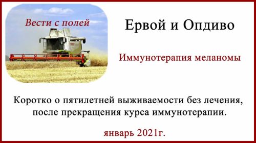 Выживание без лечения после прекращения иммунотерапии