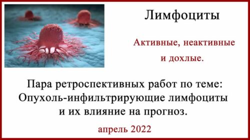 Меланома. Опухоль-инфильтрирующие лимфоциты