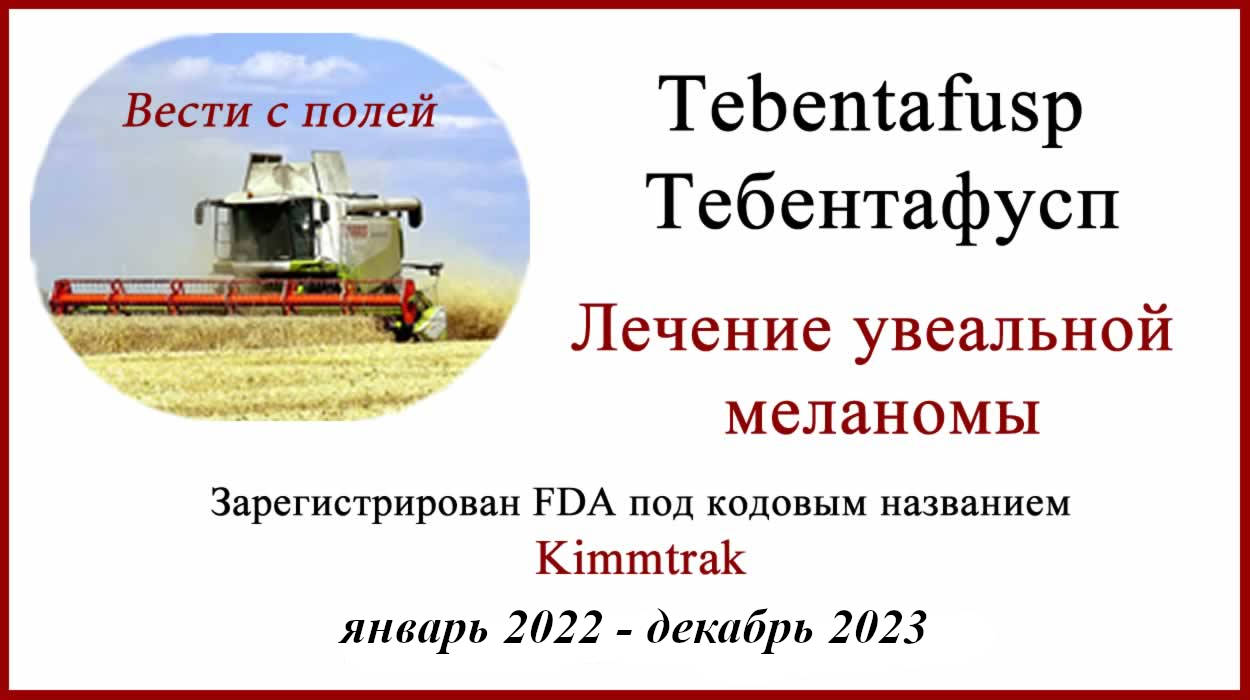 Kimmtrak - Тебентафусп (Tebentafusp) - зарегистрирован FDA Kimmtrak - Тебентафусп (Tebentafusp) для лечения увеальной меланомы. Результаты КИ.