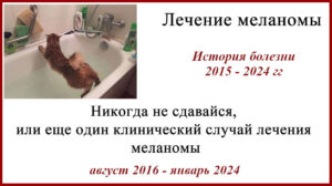 Лечение меланомы. Опдиво (ниволумаб), Тафинлар, Мекинист, Ервой