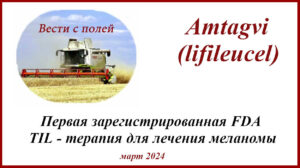 Amtagvi (lifileucel) - TIL-терапия для лечения меланомы кожи