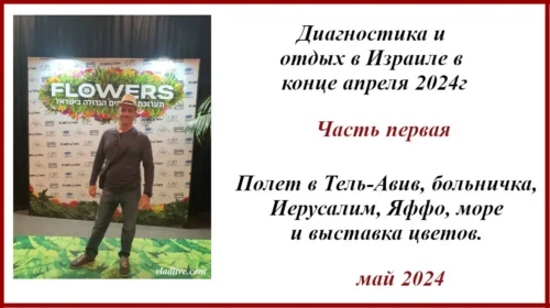 Диагностика и отдых в Израиле в апреле 2024г Отзыв, фото, видео.