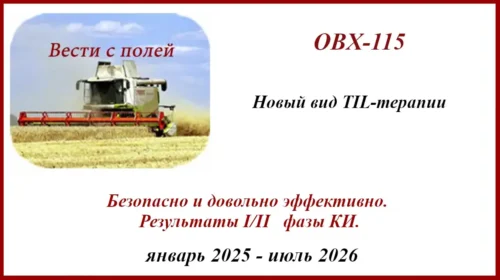 TIL - терапия OBX-115 при меланоме. Результаты I-II фазы КИ Agni-01 NCT06060613