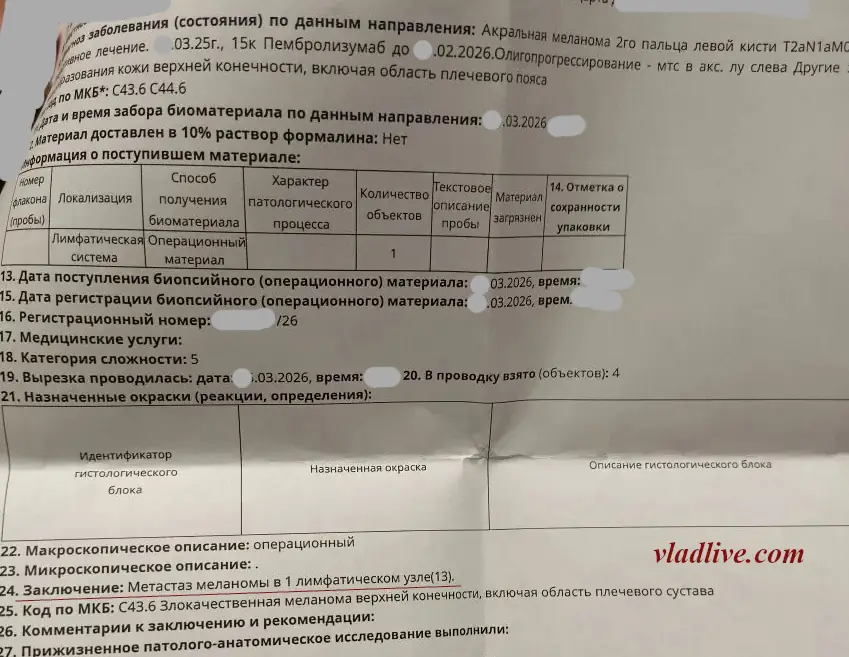 Гистология после лимфодиссекции
