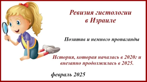 Ревизия гистологии в Израиле. История. Маора Файнмессер
