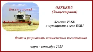 Orserdu (Элацестрант). Орсерду
