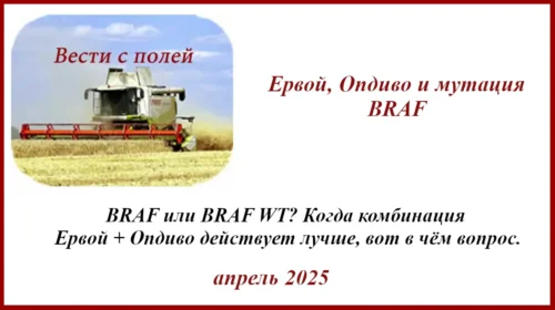 Цитологическое исследование (результат). Ервой + Опдиво и мутация BRAF
