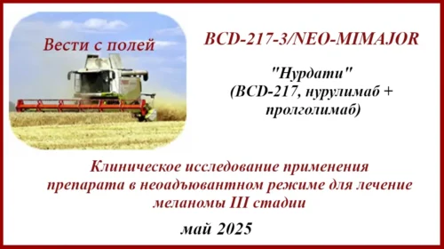 BCD-217-3/NEO-MIMAJOR. "Нурдати" (BCD-217, нурулимаб + пролголимаб) в неоадъювантном режиме