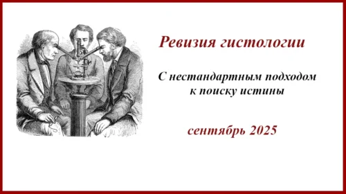 Ревизия гистологии с нестандартным подходом к действу