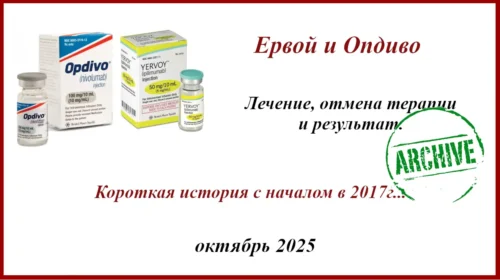 Ервой и Опдиво. Лечение, отмена терапии и результат
