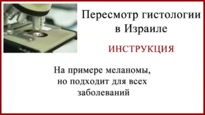 Пересмотр гистологии в Израиле. Подробная инструкция.