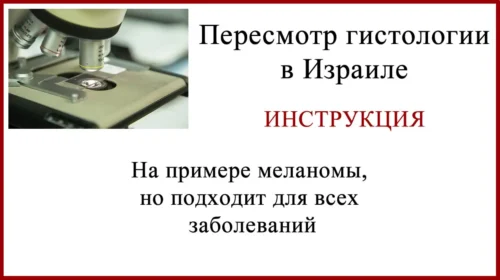 Пересмотр гистологии в Израиле. Подробная инструкция.